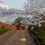 20160107 - Landschapsplan Knooperf Langeveen 7 jan 2016
