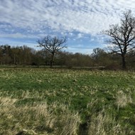 IMG_0051