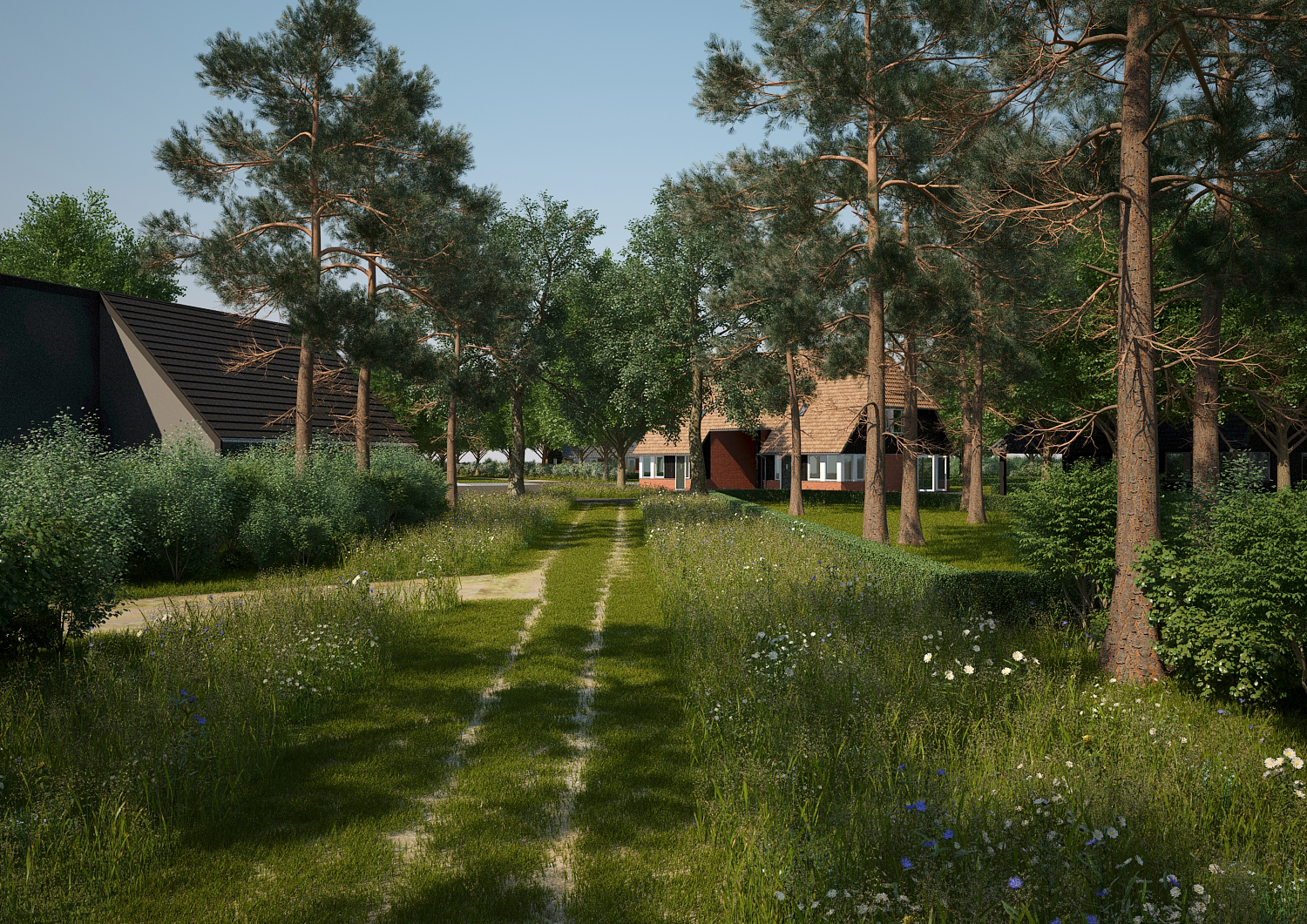 Eerste impressies Knooperf in concept