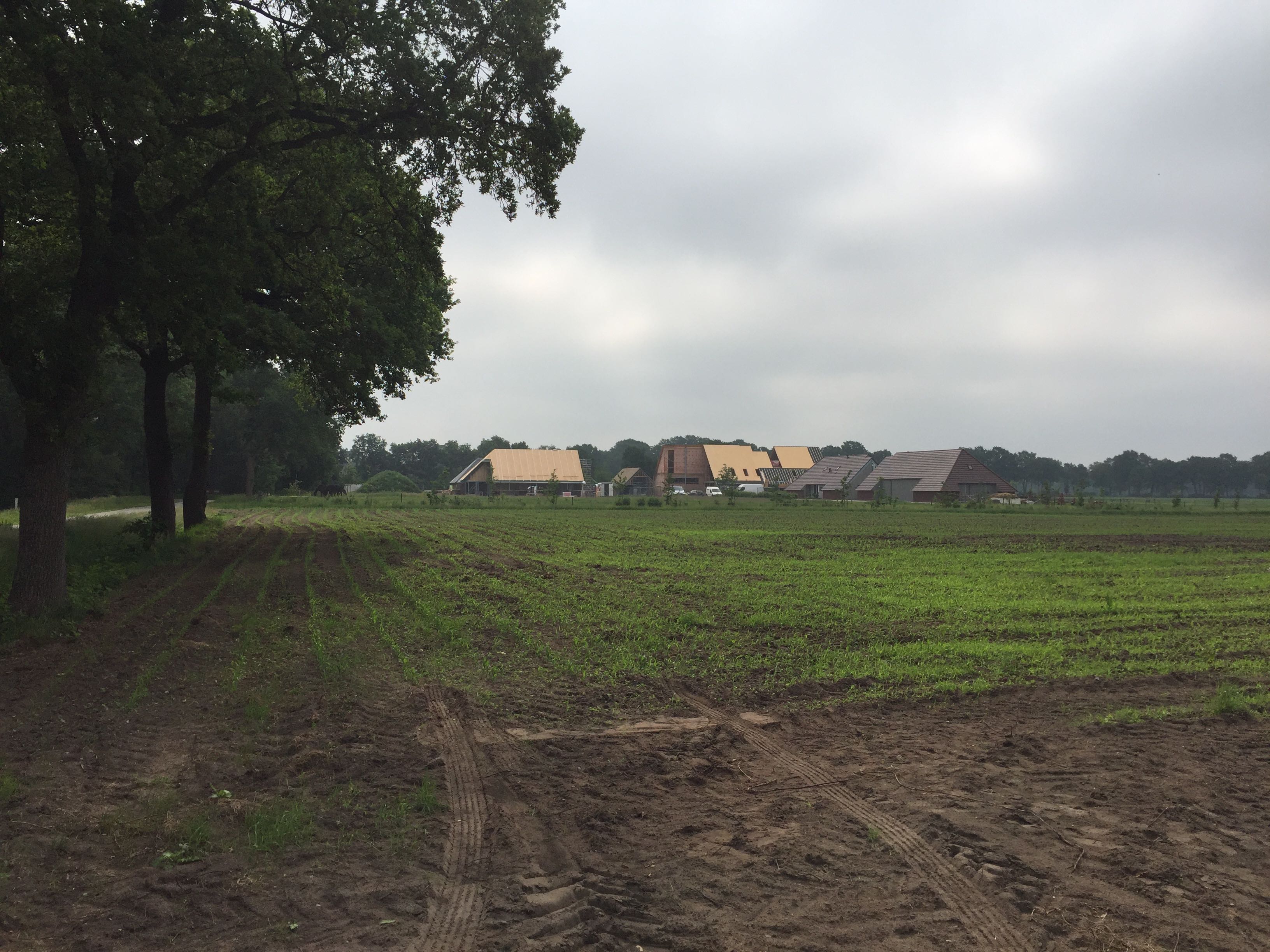 Prinses onthuld haar eerste vormen