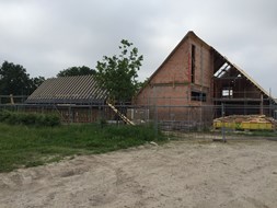 IMG_2151