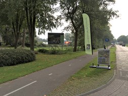 IMG_0933