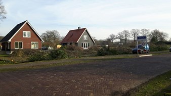 IMG_1192