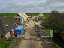 IMG_3875