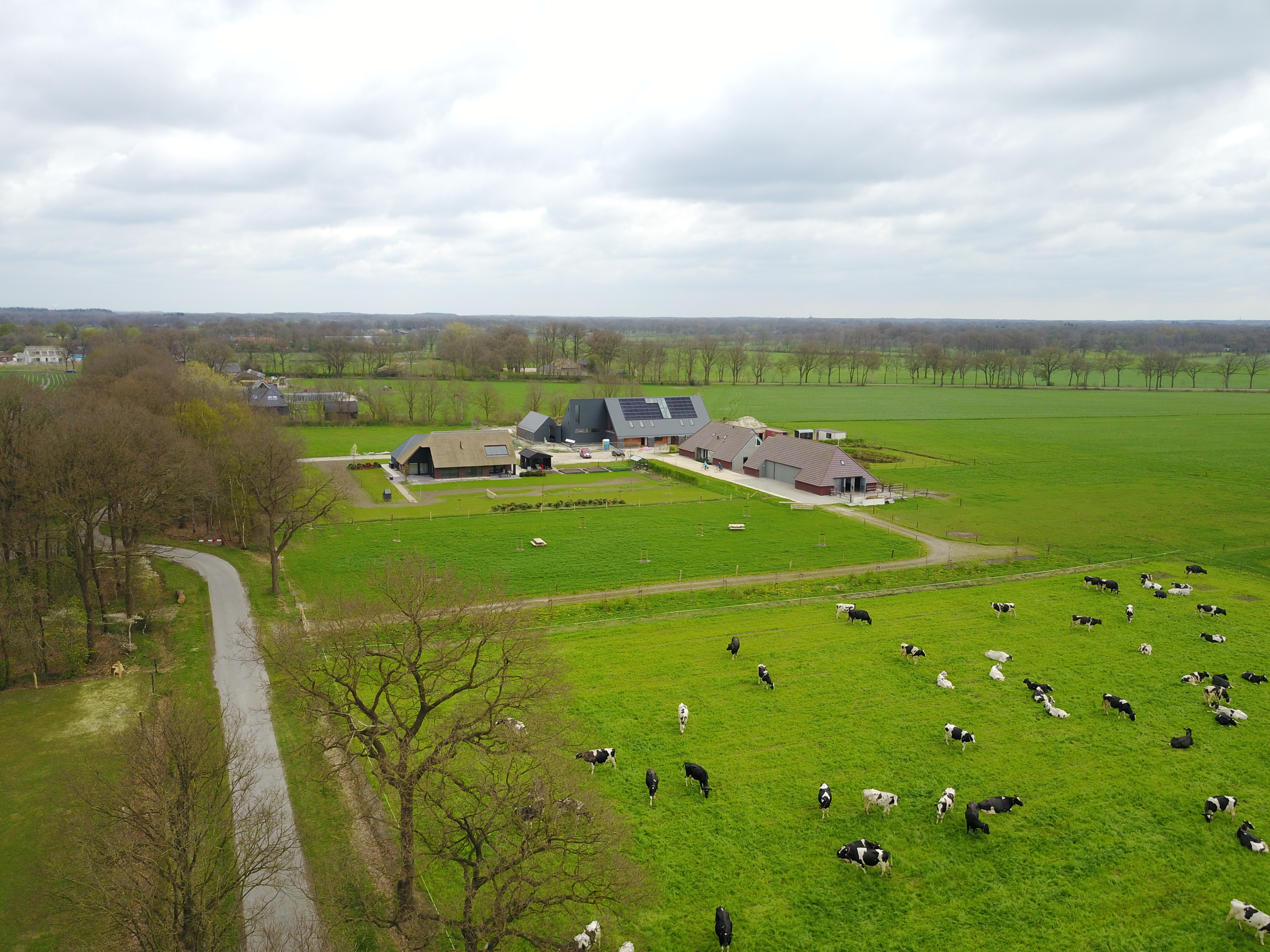 Ook in Ansen zijn de koeien weer van stal
