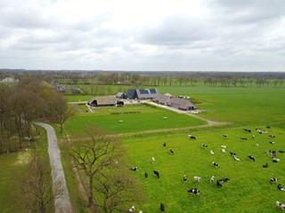 IMG_3812